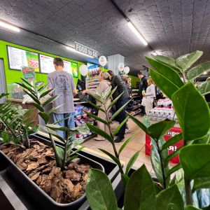 У родині SPAR відбулося свято відкриття супермаркет SPAR у Любешові